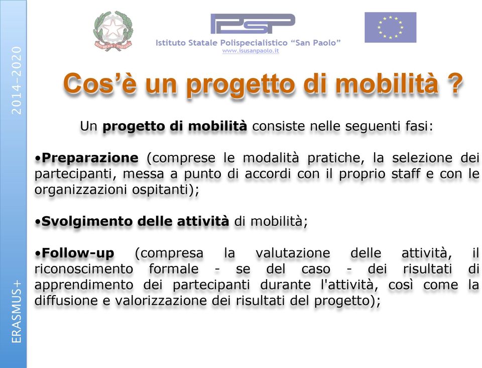 partecipanti, messa a punto di accordi con il proprio staff e con le organizzazioni ospitanti); Svolgimento delle attività di