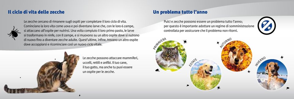 Una volta compiuto il loro primo pasto, le larve si trasformano in ninfe, con 8 zampe, e si muovono su un altro ospite dove si nutrono di nuovo fino a diventare zecche adulte.