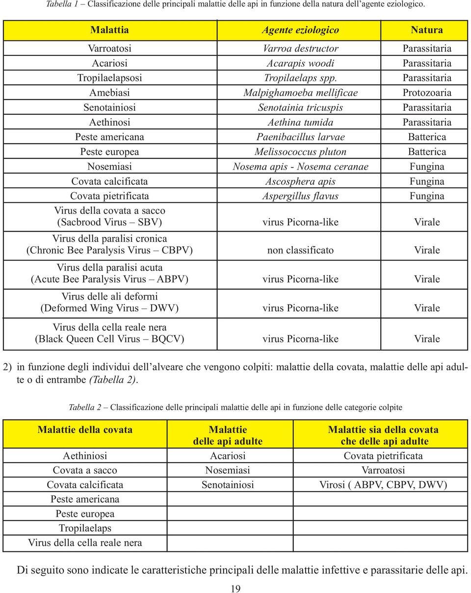 Parassitaria Amebiasi Malpighamoeba mellificae Protozoaria Senotainiosi Senotainia tricuspis Parassitaria Aethinosi Aethina tumida Parassitaria Peste americana Paenibacillus larvae Batterica Peste