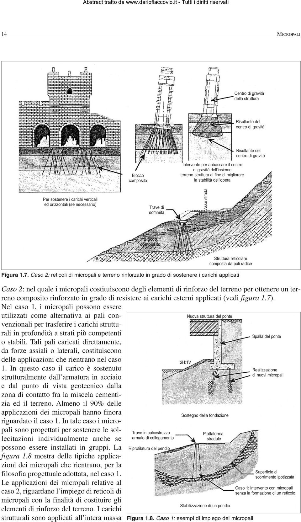 composta da pali radice Figura 1.7.