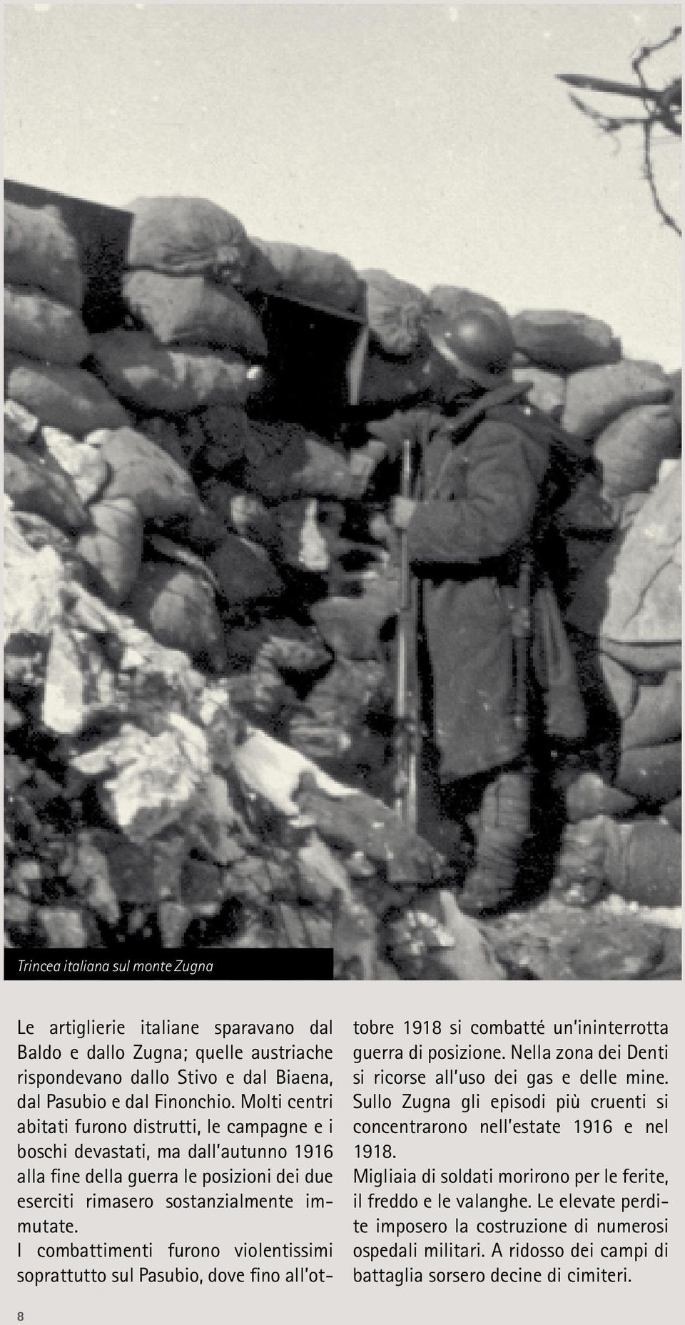 I combattimenti furono violentissimi soprattutto sul Pasubio, dove fino all ottobre 1918 si combatté un ininterrotta guerra di posizione. Nella zona dei Denti si ricorse all uso dei gas e delle mine.