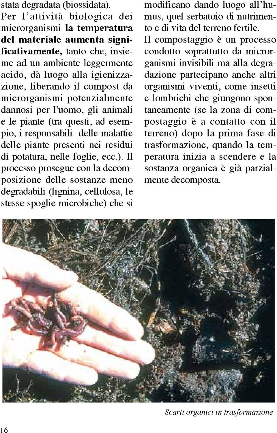 compost da microrganismi potenzialmente dannosi per l'uomo, gli animali e le piante (tra questi, ad esempio, i responsabili delle malattie delle piante presenti nei residui di potatura, nelle foglie,