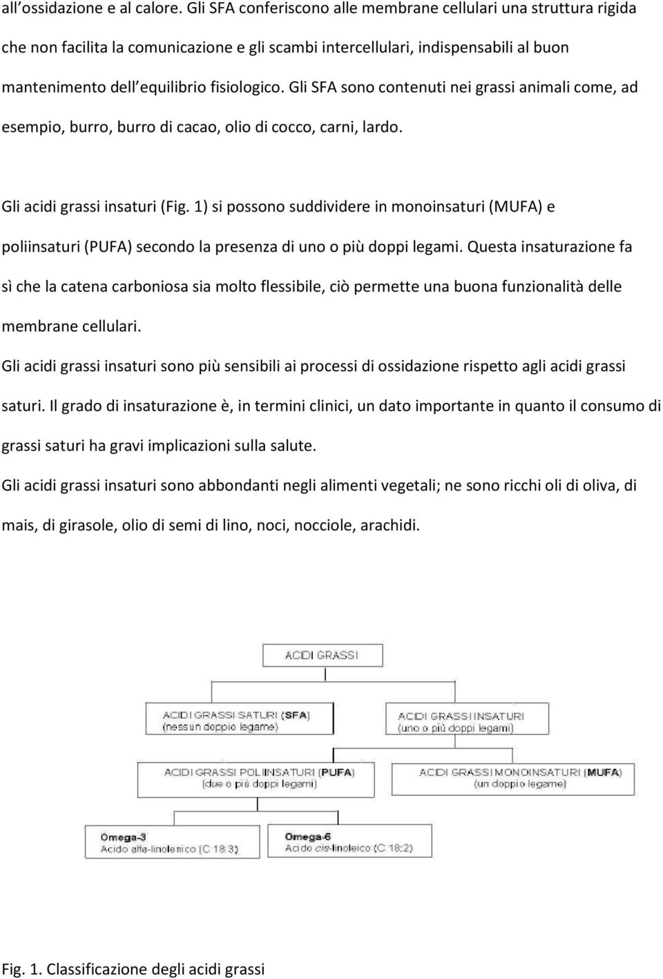 Gli SFA sono contenuti nei grassi animali come, ad esempio, burro, burro di cacao, olio di cocco, carni, lardo. Gli acidi grassi insaturi (Fig.