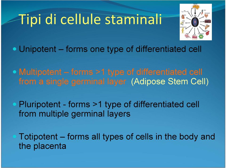 (Adipose Stem Cell) Pluripotent - forms >1 type of differentiated cell from