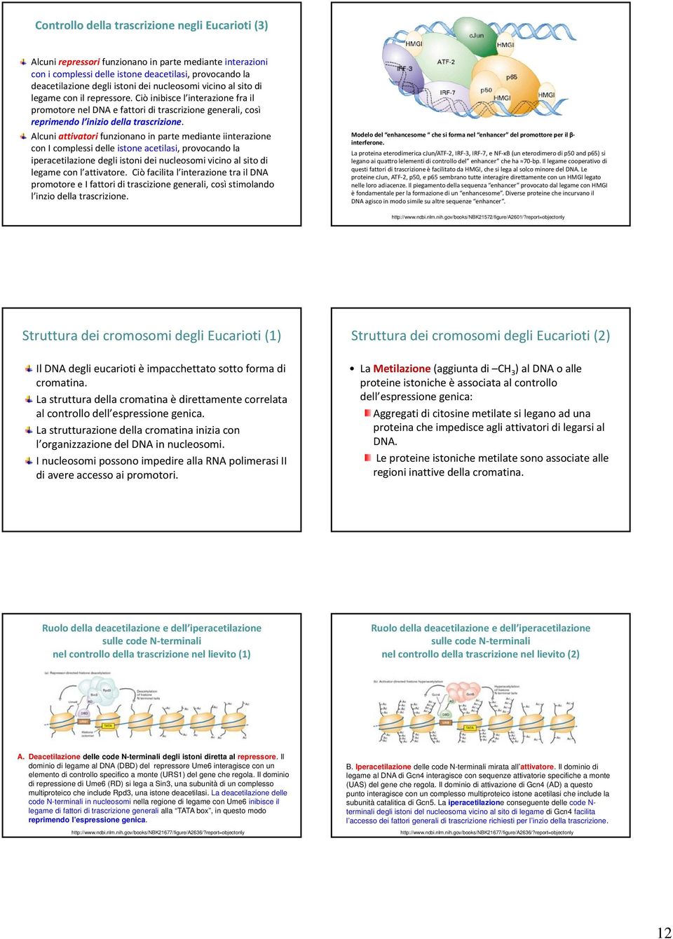 Alcuni attivatori funzionano in parte mediante iinterazione con I complessi delle istone acetilasi, provocando la iperacetilazione degli istoni dei nucleosomi vicino al sito di legame con l