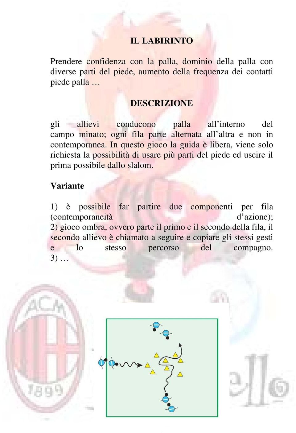 In questo gioco la guida è libera, viene solo richiesta la possibilità di usare più parti del piede ed uscire il prima possibile dallo slalom.