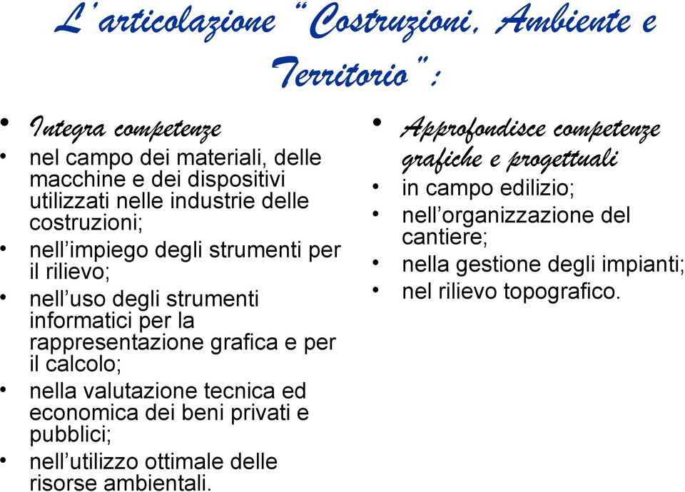 grafica e per il calcolo; nella valutazione tecnica ed economica dei beni privati e pubblici; nell utilizzo ottimale delle risorse ambientali.