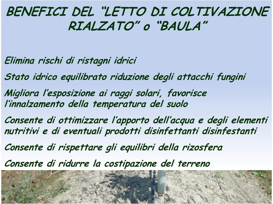 del suolo Consente di ottimizzare l apporto dell acqua e degli elementi nutritivi e di eventuali prodotti