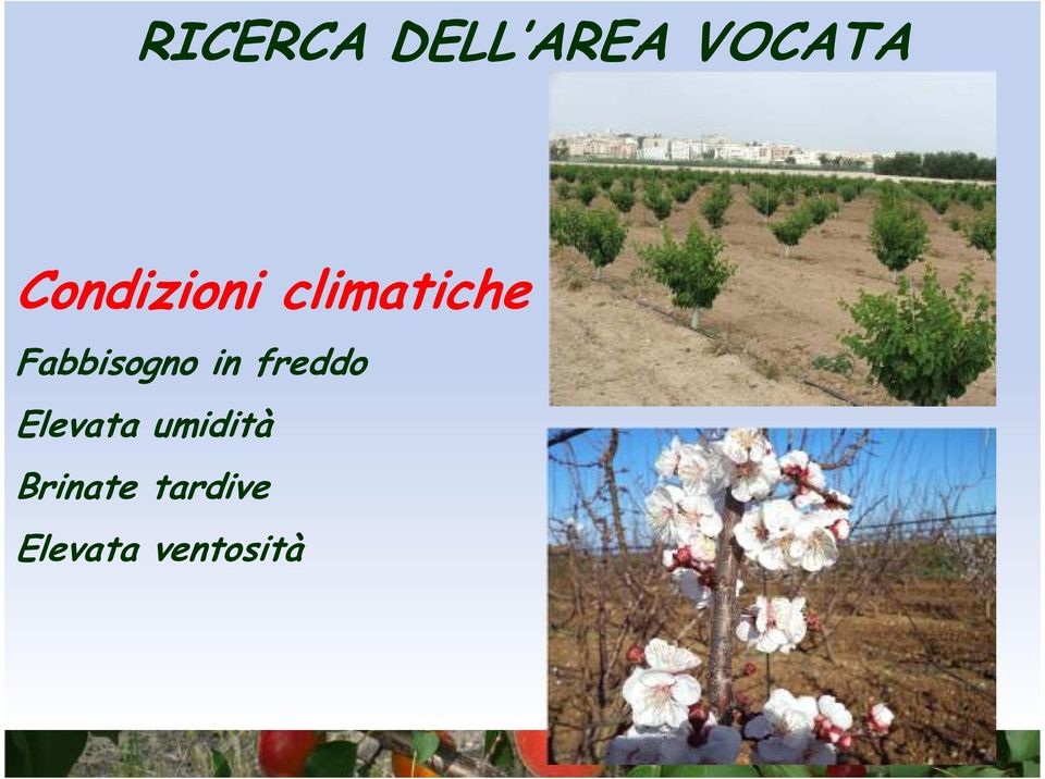 Fabbisogno in freddo Elevata