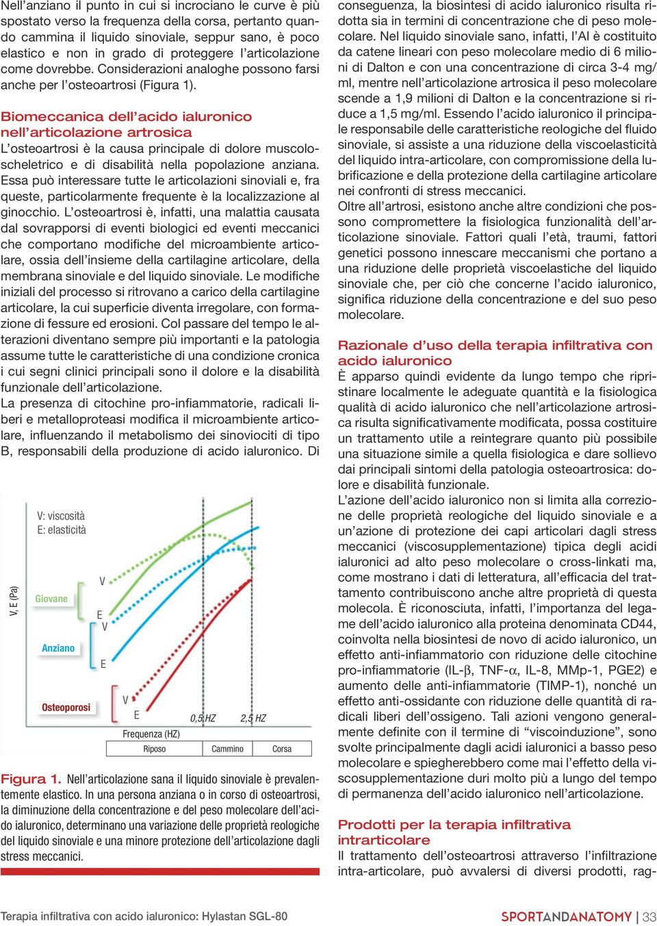 Biomeccanica dell acido ialuronico nell articolazione artrosica L osteoartrosi è la causa principale di dolore muscoloscheletrico e di disabilità nella popolazione anziana.