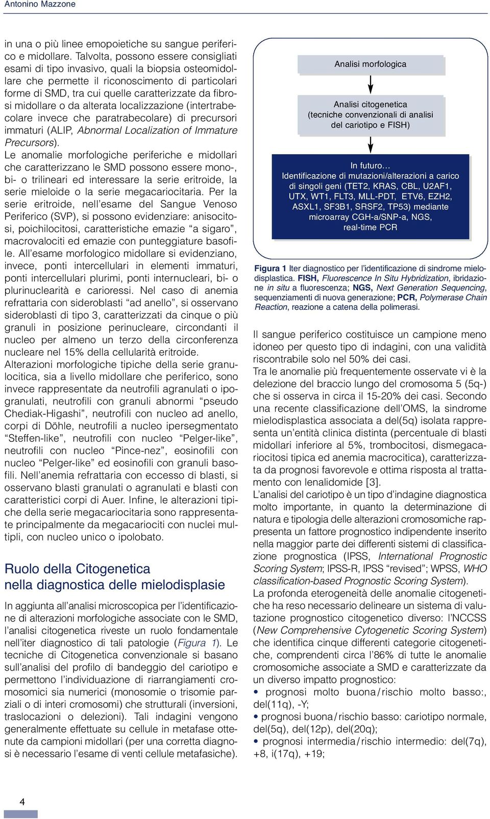 midollare o da alterata localizzazione (intertrabecolare invece che paratrabecolare) di precursori immaturi (ALIP, Abnormal Localization of Immature Precursors).