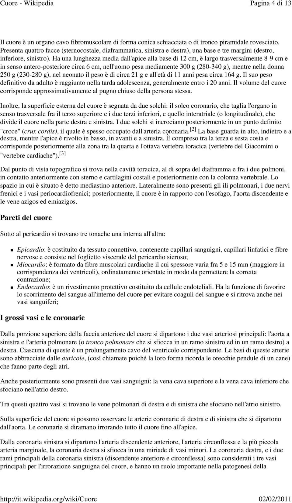 Ha una lunghezza media dall'apice alla base di 12 cm, è largo trasversalmente 8-9 cm e in senso antero-posteriore circa 6 cm, nell'uomo pesa mediamente 300 g (280-340 g), mentre nella donna 250 g