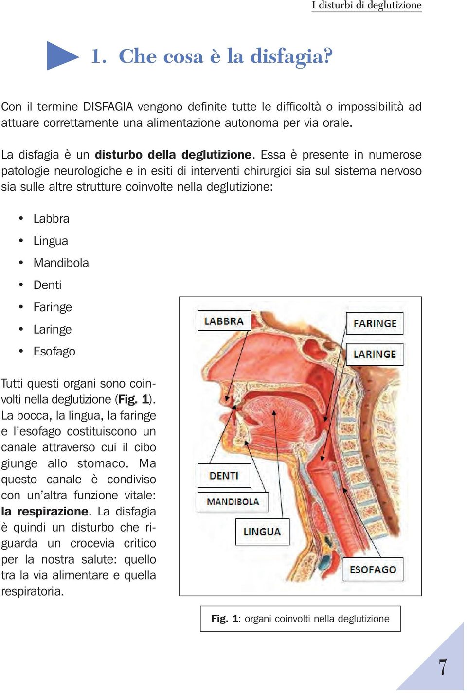 Essa è presente in numerose patologie neurologiche e in esiti di interventi chirurgici sia sul sistema nervoso sia sulle altre strutture coinvolte nella deglutizione: Labbra Lingua Mandibola Denti