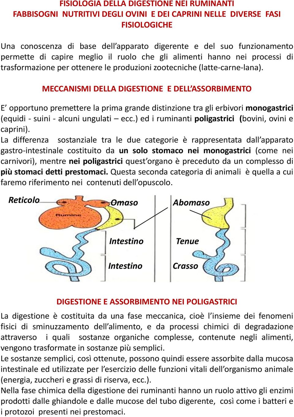 MECCANISMI DELLA DIGESTIONE E DELL ASSORBIMENTO E opportuno premettere la prima grande distinzione tra gli erbivori monogastrici (equidi - suini - alcuni ungulati ecc.