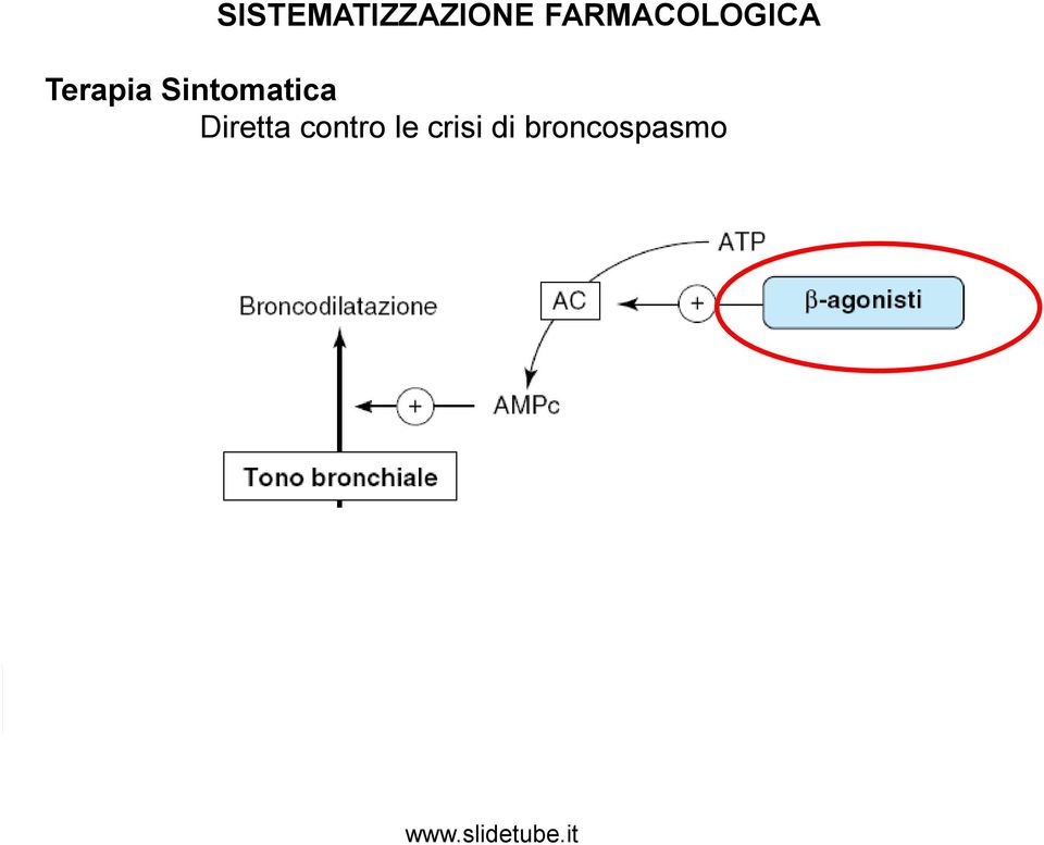 Sintomatica Diretta