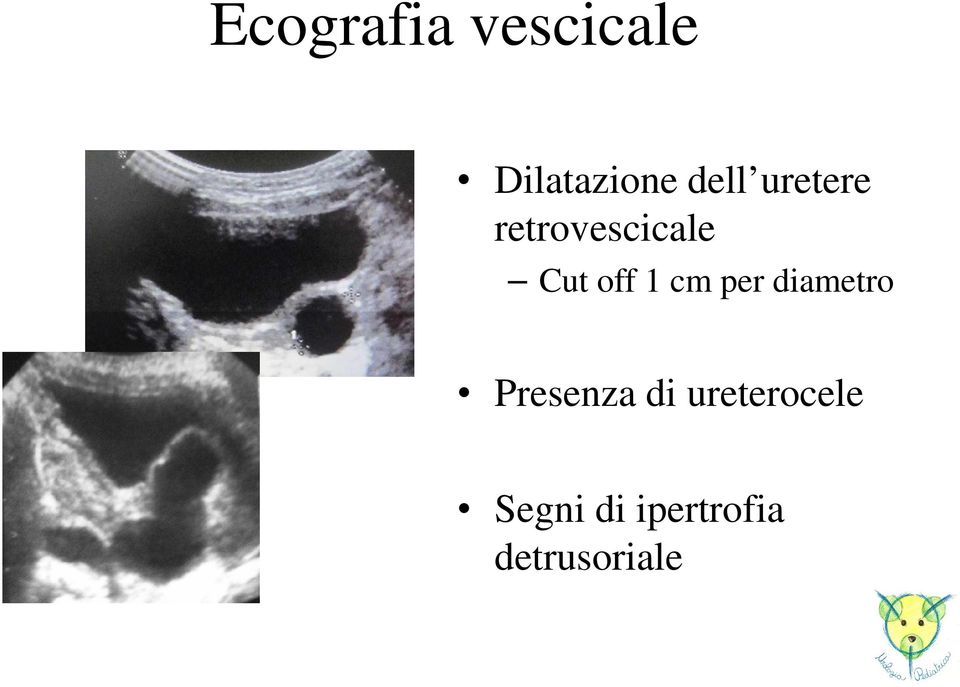 1 cm per diametro Presenza di