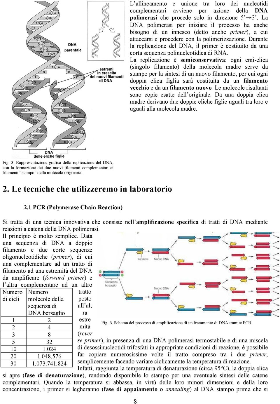 Durante la replicazione del DNA, il primer è costituito da una corta sequenza polinucleotidica di RNA.