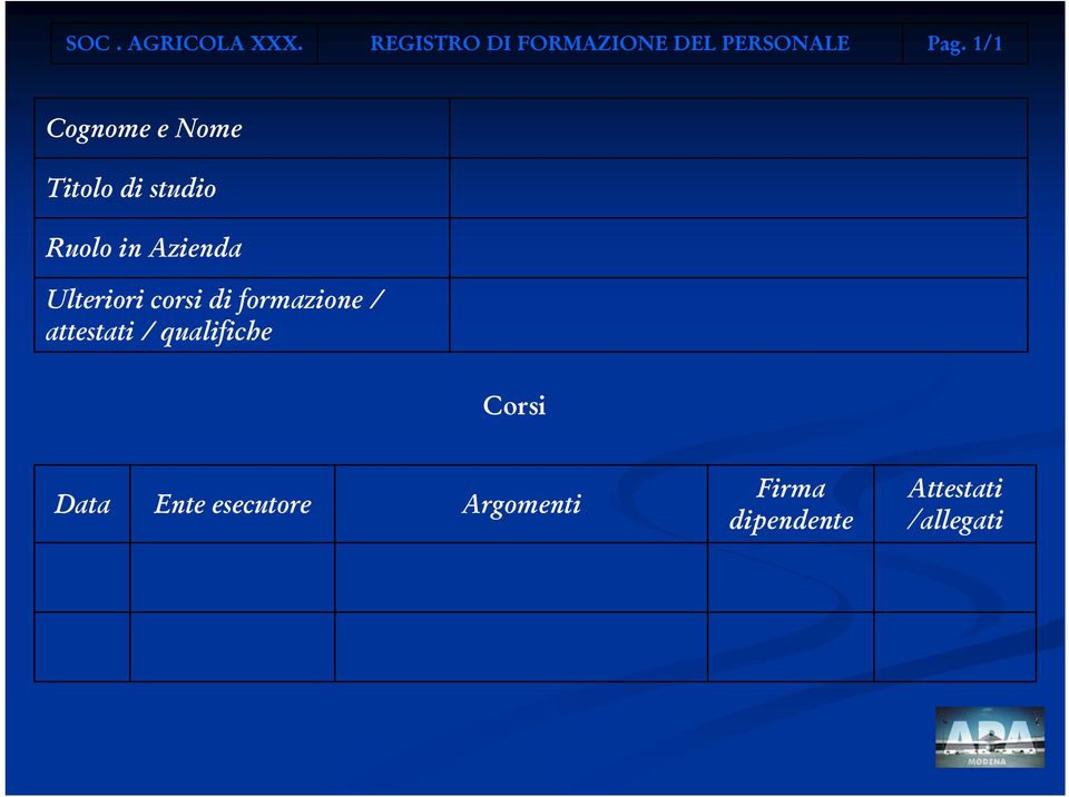 Ulteriori corsi di formazione / attestati / qualifiche Corsi