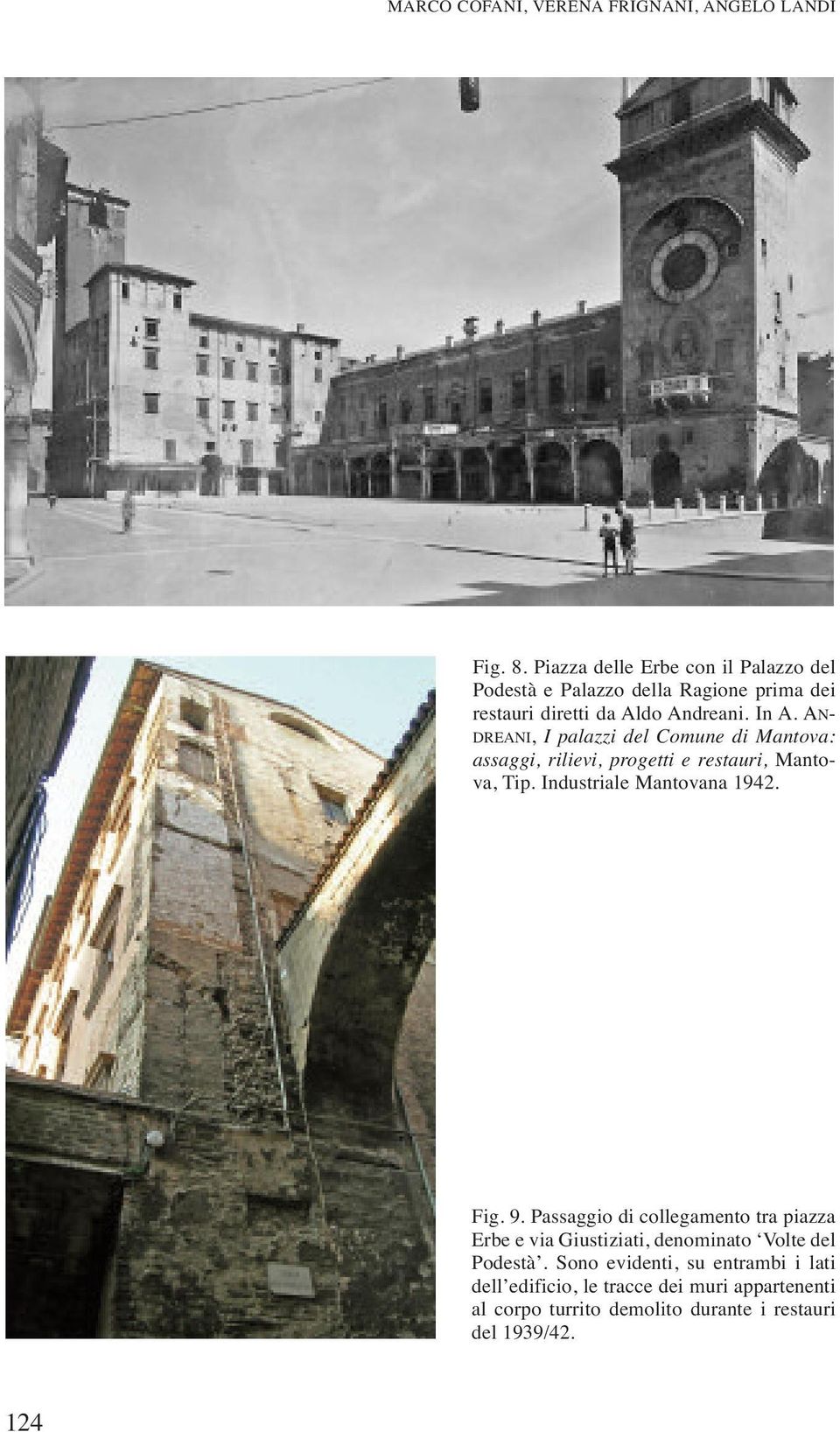 AN- DREANI, I palazzi del Comune di Mantova: assaggi, rilievi, progetti e restauri, Mantova, Tip. Industriale Mantovana 1942. Fig. 9.