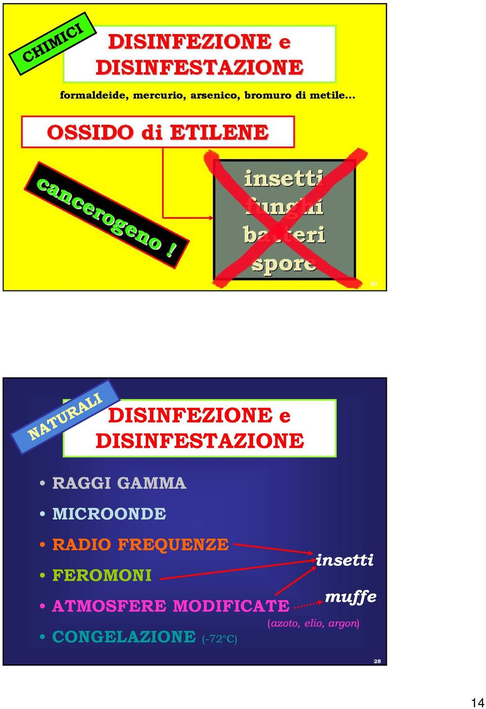 .. 27 DISINFEZIONE e DISINFESTAZIONE RAGGI GAMMA