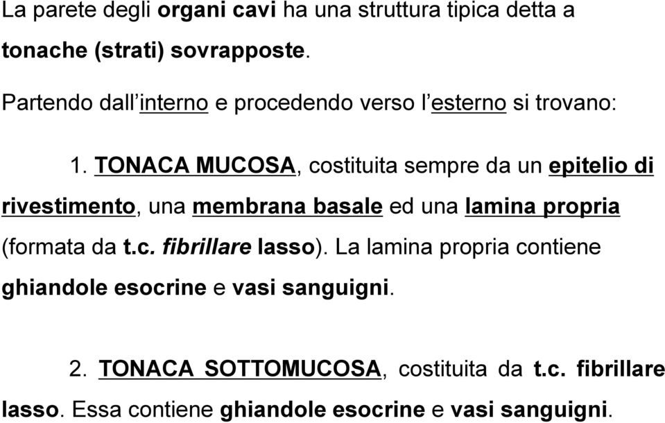 TONACA MUCOSA, costituita sempre da un epitelio di rivestimento, una membrana basale ed una lamina propria (formata da