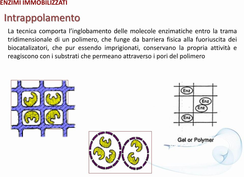 fuoriuscita dei biocatalizatori, che pur essendo imprigionati, conservano la