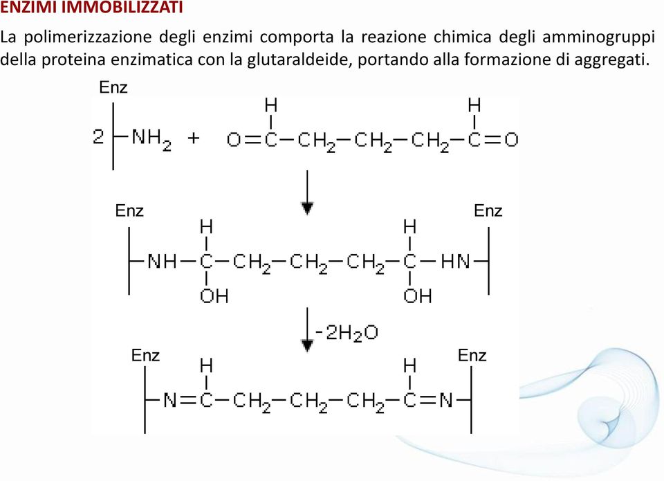 proteina enzimatica con la glutaraldeide,