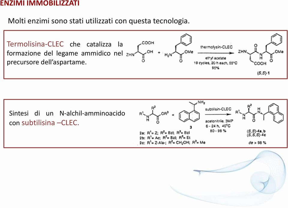 Termolisina-CLEC che catalizza la formazione del