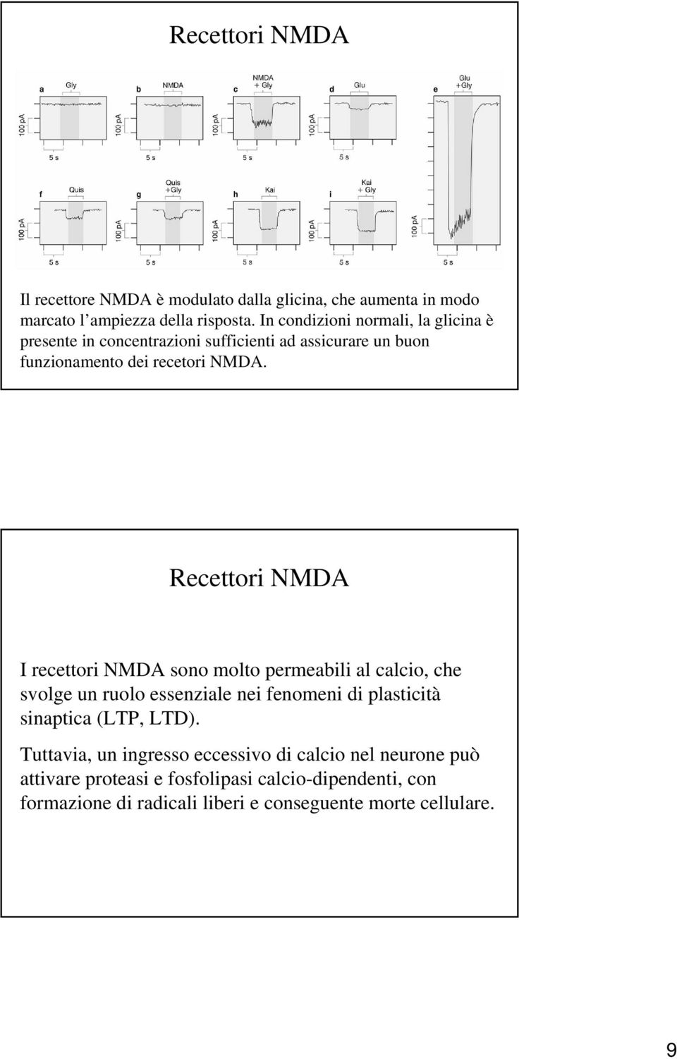 Recettori NMDA I recettori NMDA sono molto permeabili al calcio, che svolge un ruolo essenziale nei fenomeni di plasticità sinaptica (LTP,