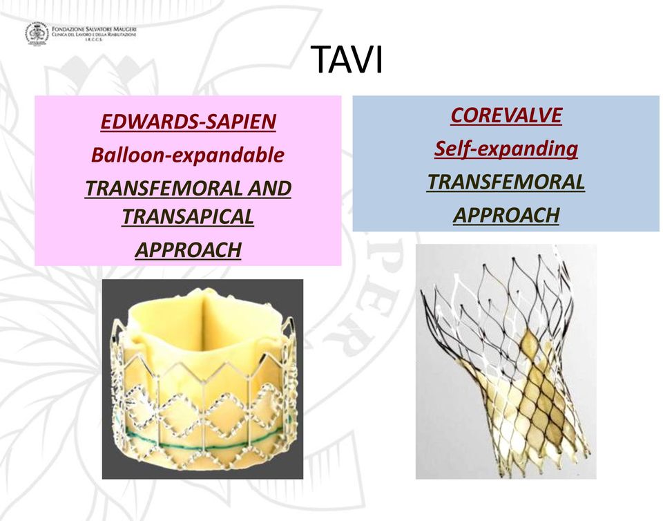 TRANSFEMORAL AND TRANSAPICAL
