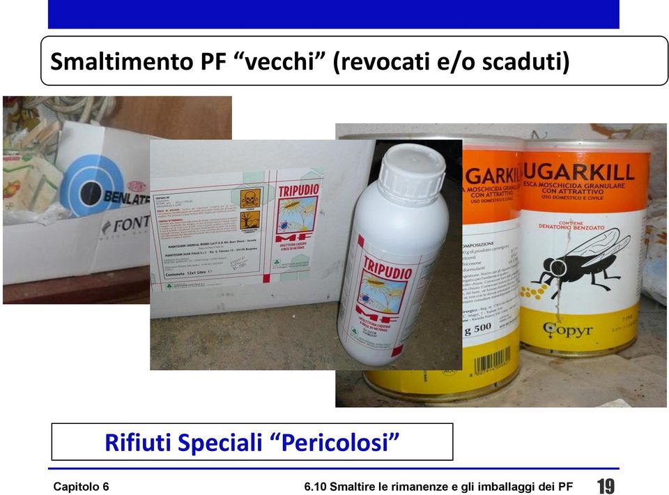 Pericolosi 6.