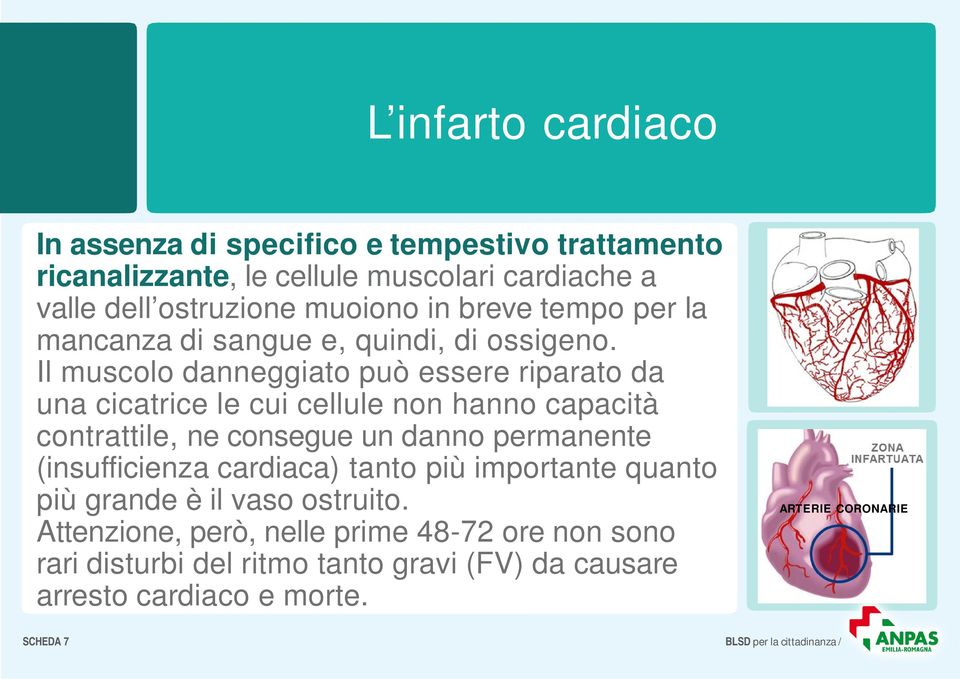 Il muscolo danneggiato può essere riparato da una cicatrice le cui cellule non hanno capacità contrattile, ne consegue un danno permanente (insufficienza