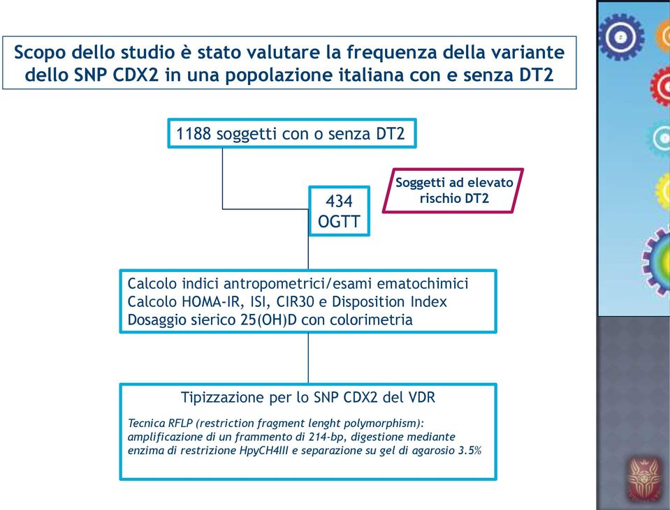 Disposition Index Dosaggio sierico 25(OH)D con colorimetria Tipizzazione per lo SNP CDX2 del VDR Tecnica RFLP (restriction fragment lenght