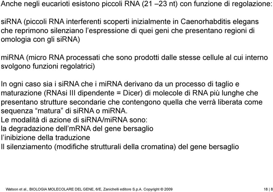 caso sia i sirna che i mirna derivano da un processo di taglio e maturazione (RNAsi III dipendente = Dicer) di molecole di RNA più lunghe che presentano strutture secondarie che contengono quella che