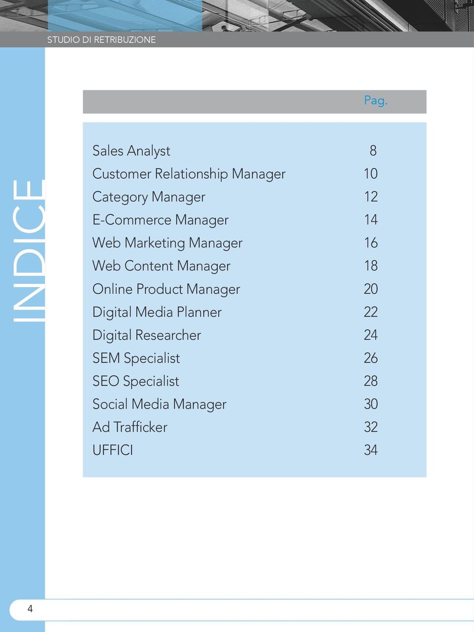 E-Commerce Manager 14 Web Marketing Manager 16 Web Content Manager 18 Online