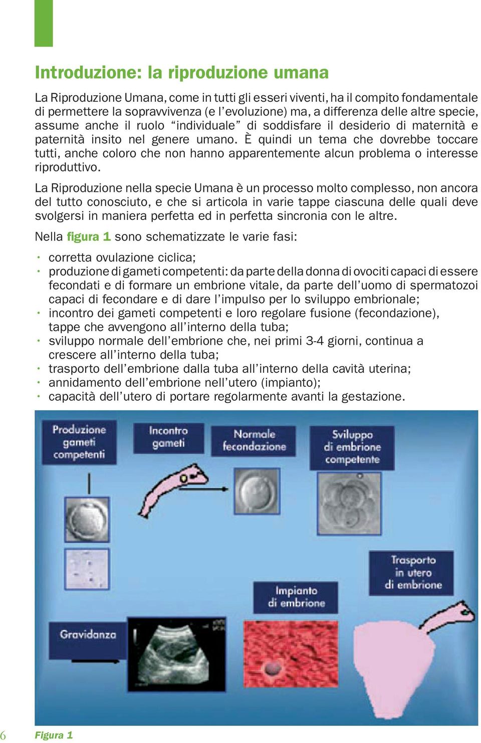 È quindi un tema che dovrebbe toccare tutti, anche coloro che non hanno apparentemente alcun problema o interesse riproduttivo.