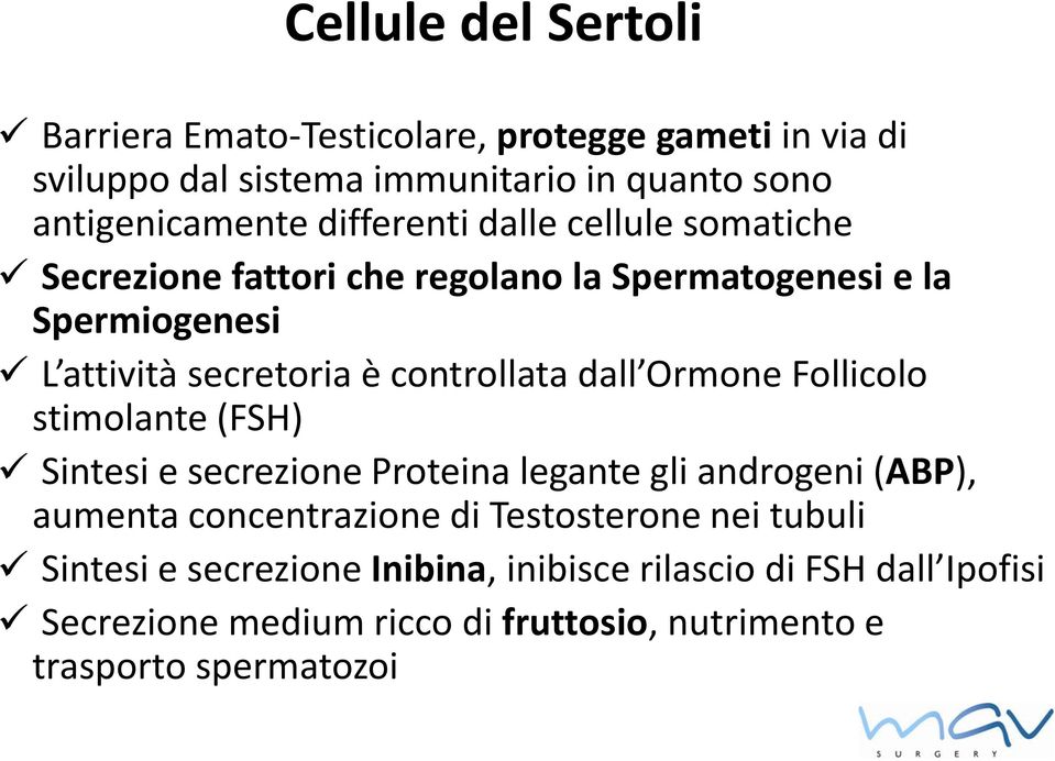 dall Ormone Follicolo stimolante (FSH) Sintesi e secrezione Proteina legante gli androgeni (ABP), aumenta concentrazione di Testosterone nei