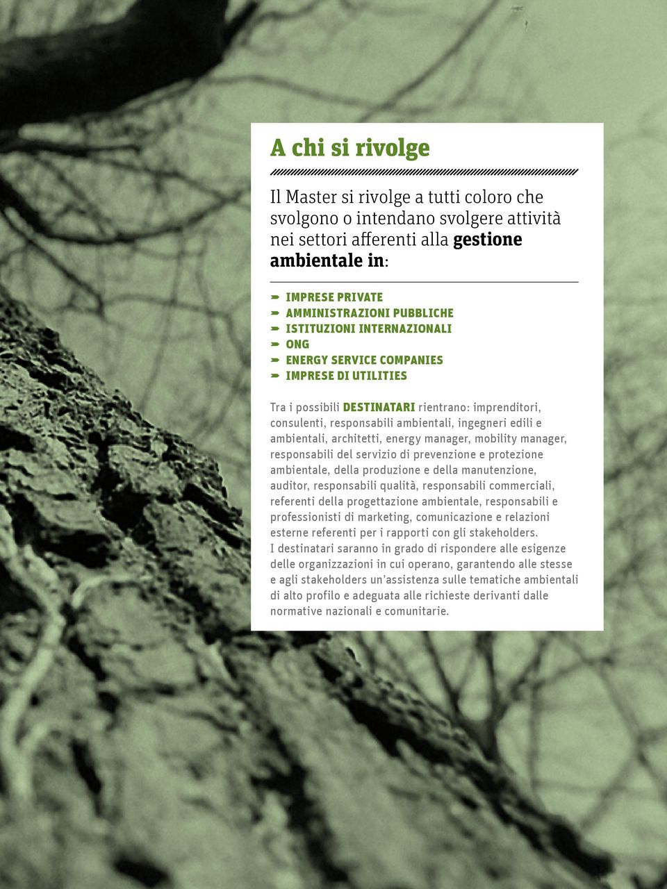 energy manager, mobility manager, responsabili del servizio di prevenzione e protezione ambientale, della produzione e della manutenzione, auditor, responsabili qualità, responsabili commerciali,