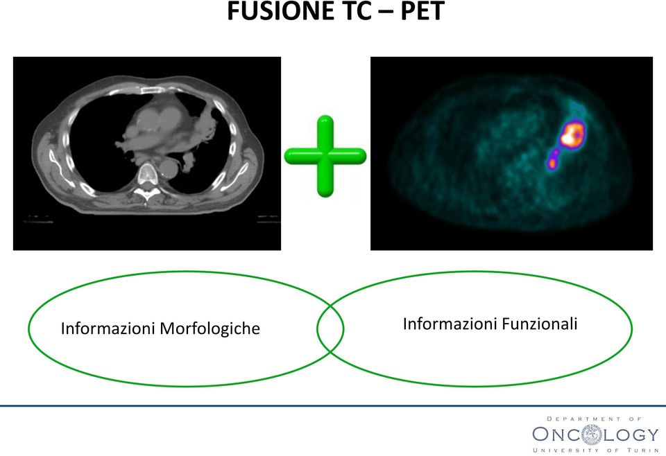 Morfologiche 