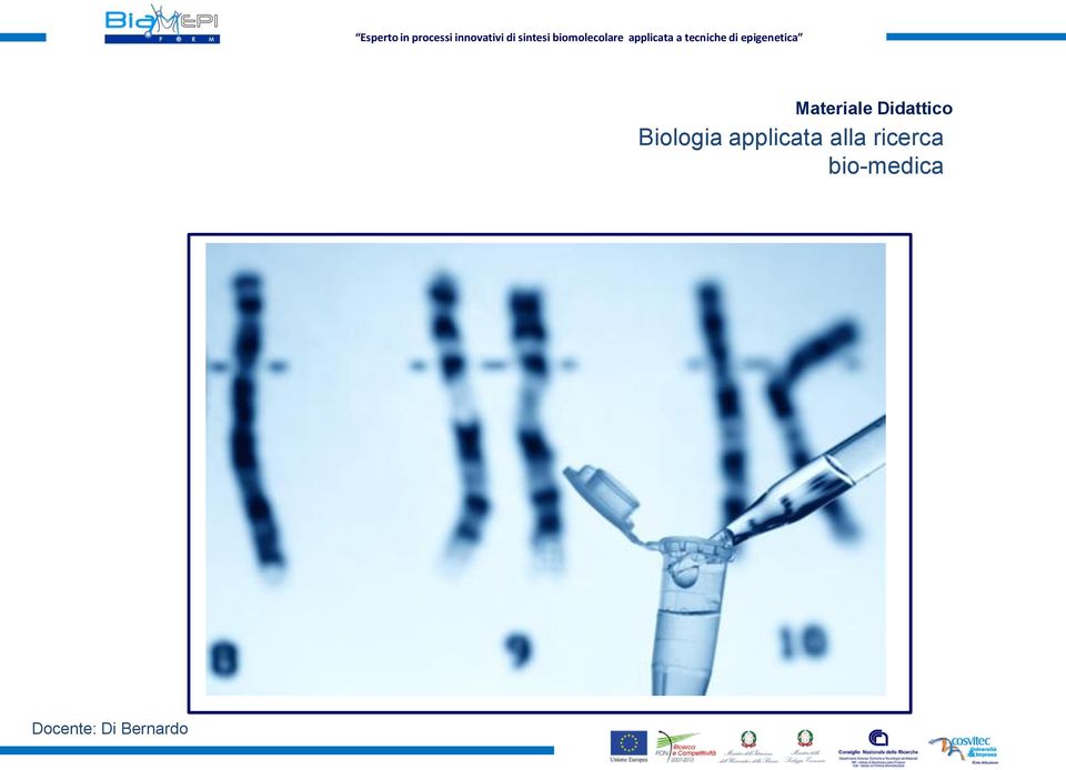 epigenetica Materiale Didattico Biologia