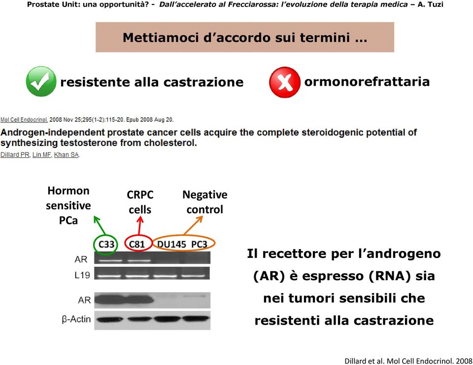 Il recettore per l androgeno (AR) è espresso (RNA) sia nei tumori