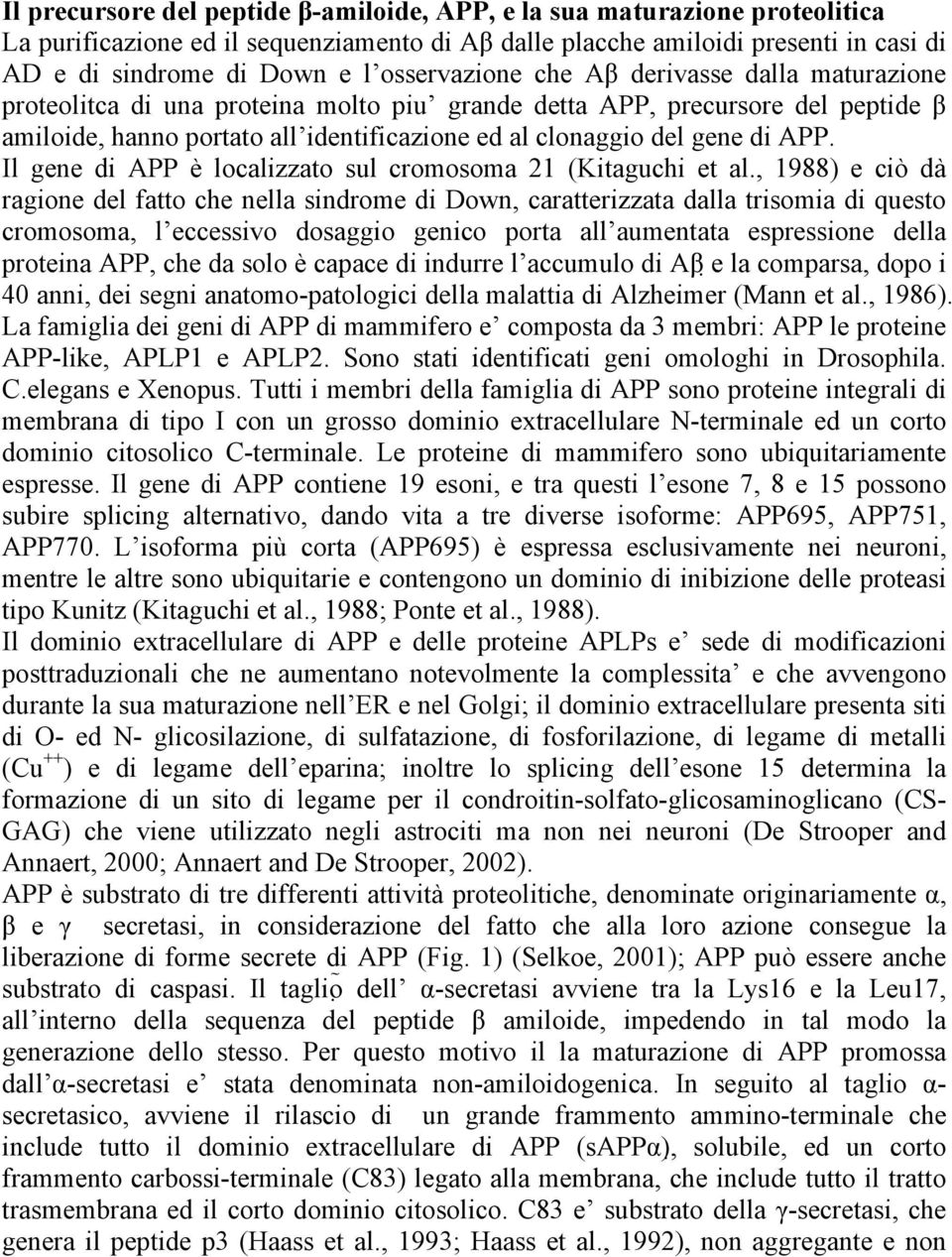 di APP. Il gene di APP è localizzato sul cromosoma 21 (Kitaguchi et al.