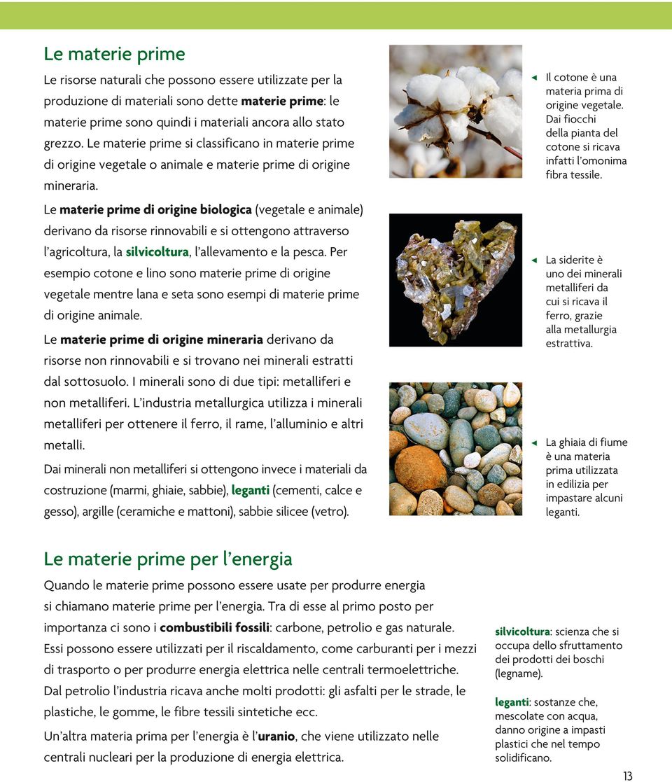 Le materie prime di origine biologica (vegetale e animale) derivano da risorse rinnovabili e si ottengono attraverso l agricoltura, la silvicoltura, l allevamento e la pesca.