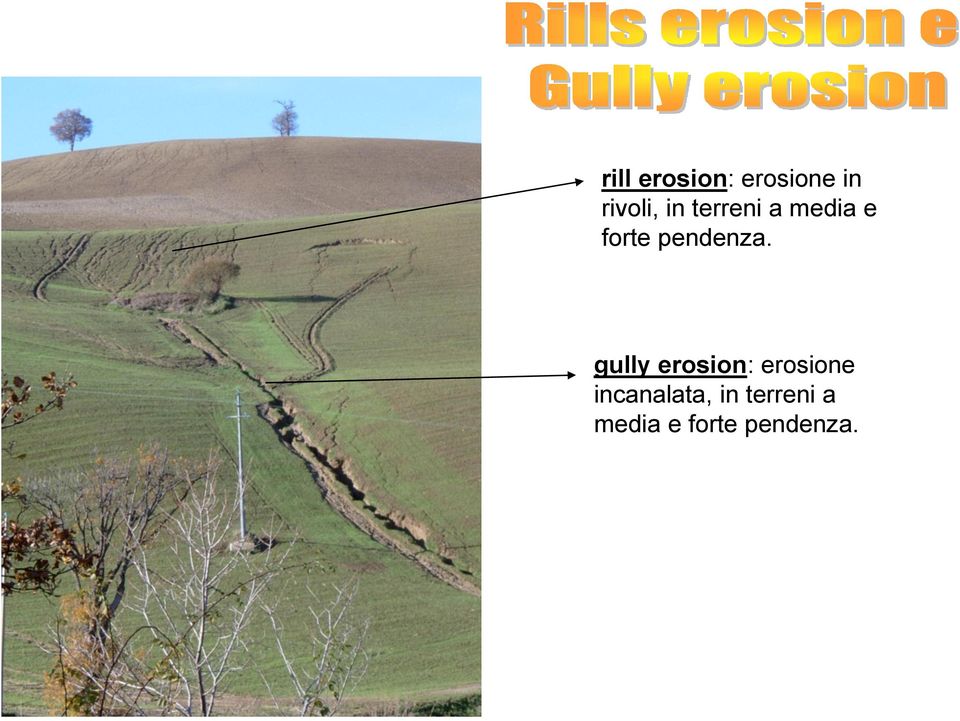 gully erosion: erosione incanalata,