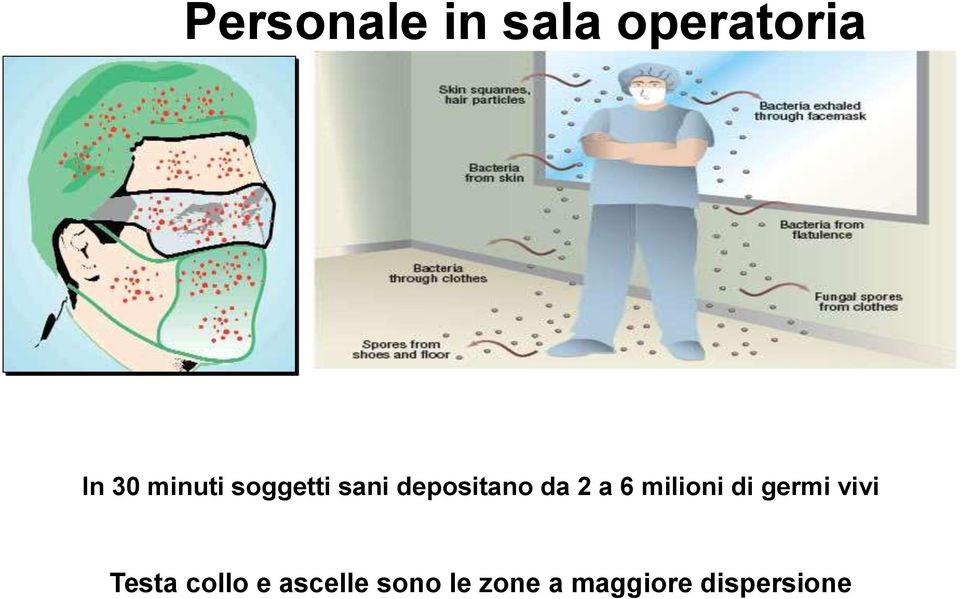 6 milioni di germi vivi Testa collo e