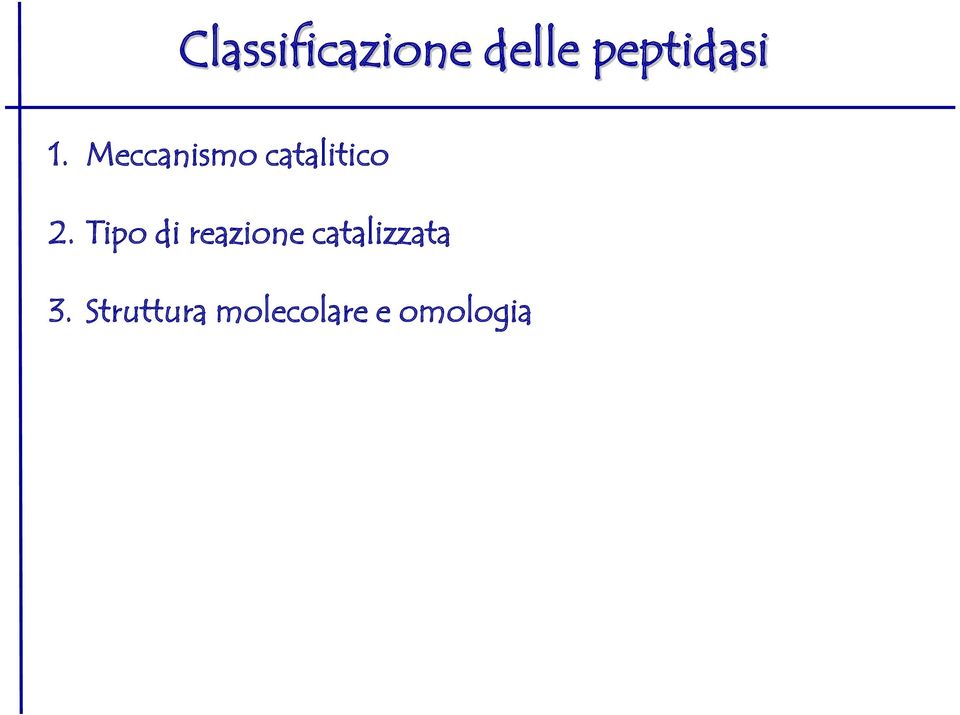 Meccanismo catalitico 2.