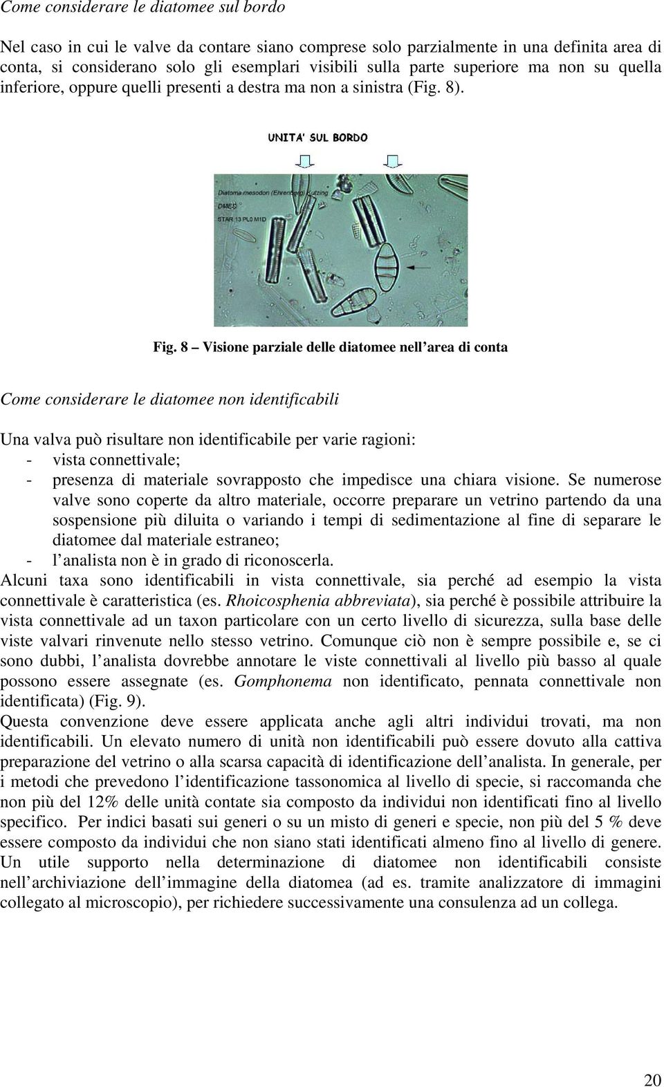 8 Visione parziale delle diatomee nell area di conta Come considerare le diatomee non identificabili Una valva può risultare non identificabile per varie ragioni: - vista connettivale; - presenza di