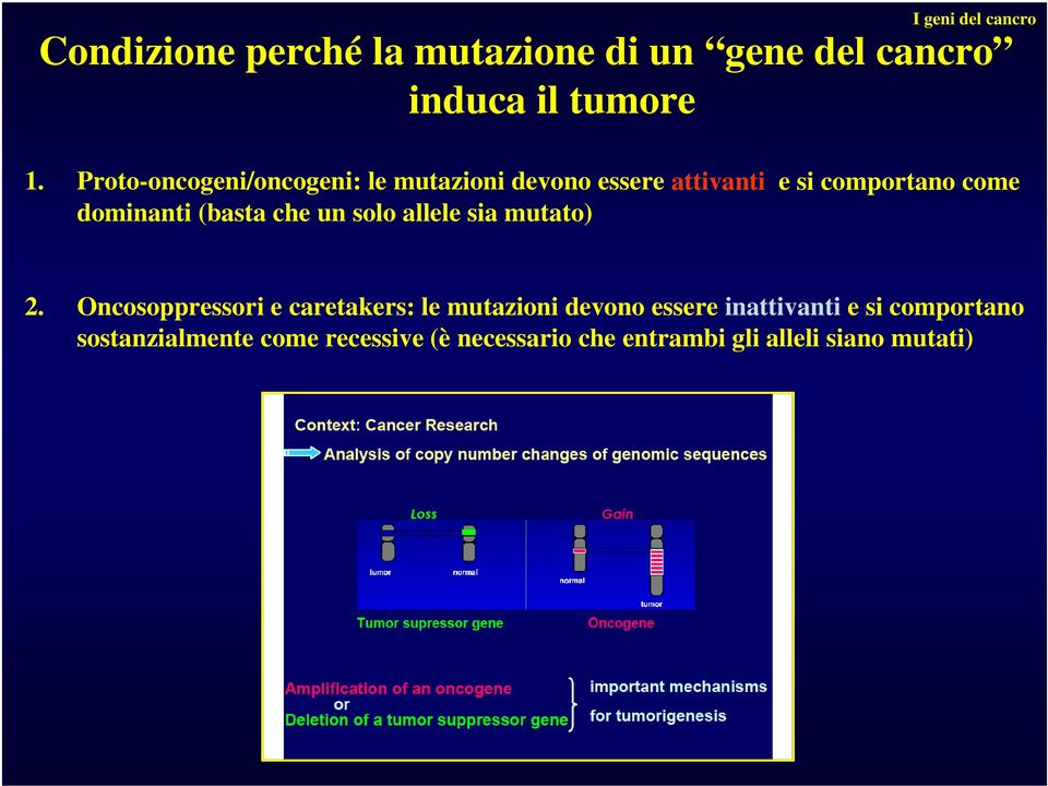 (basta che un solo allele sia mutato) 2.