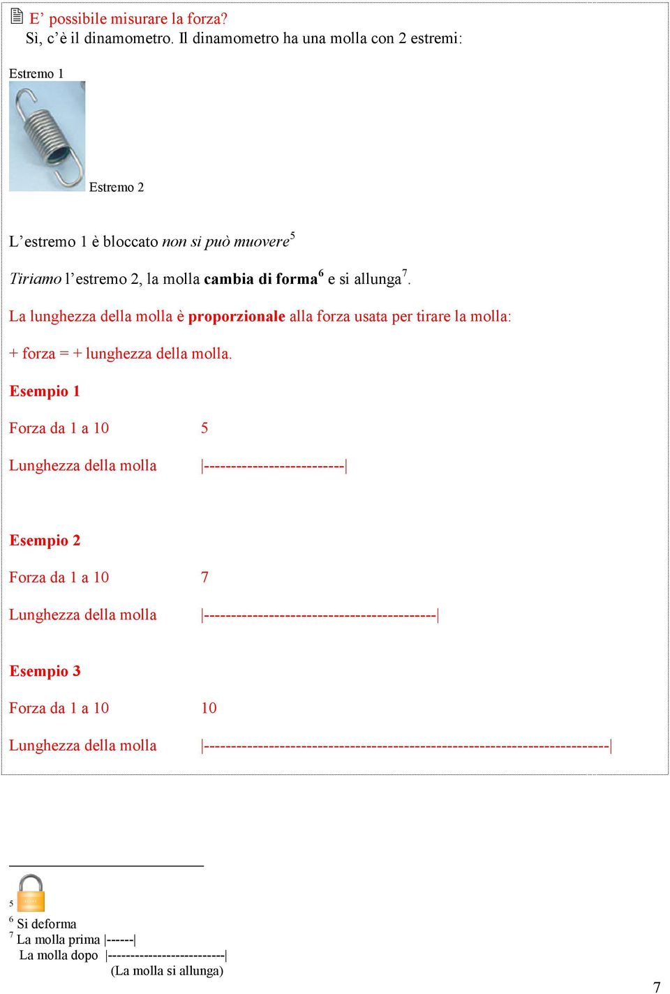 La lunghezza della molla è proporzionale alla forza usata per tirare la molla: + forza = + lunghezza della molla.