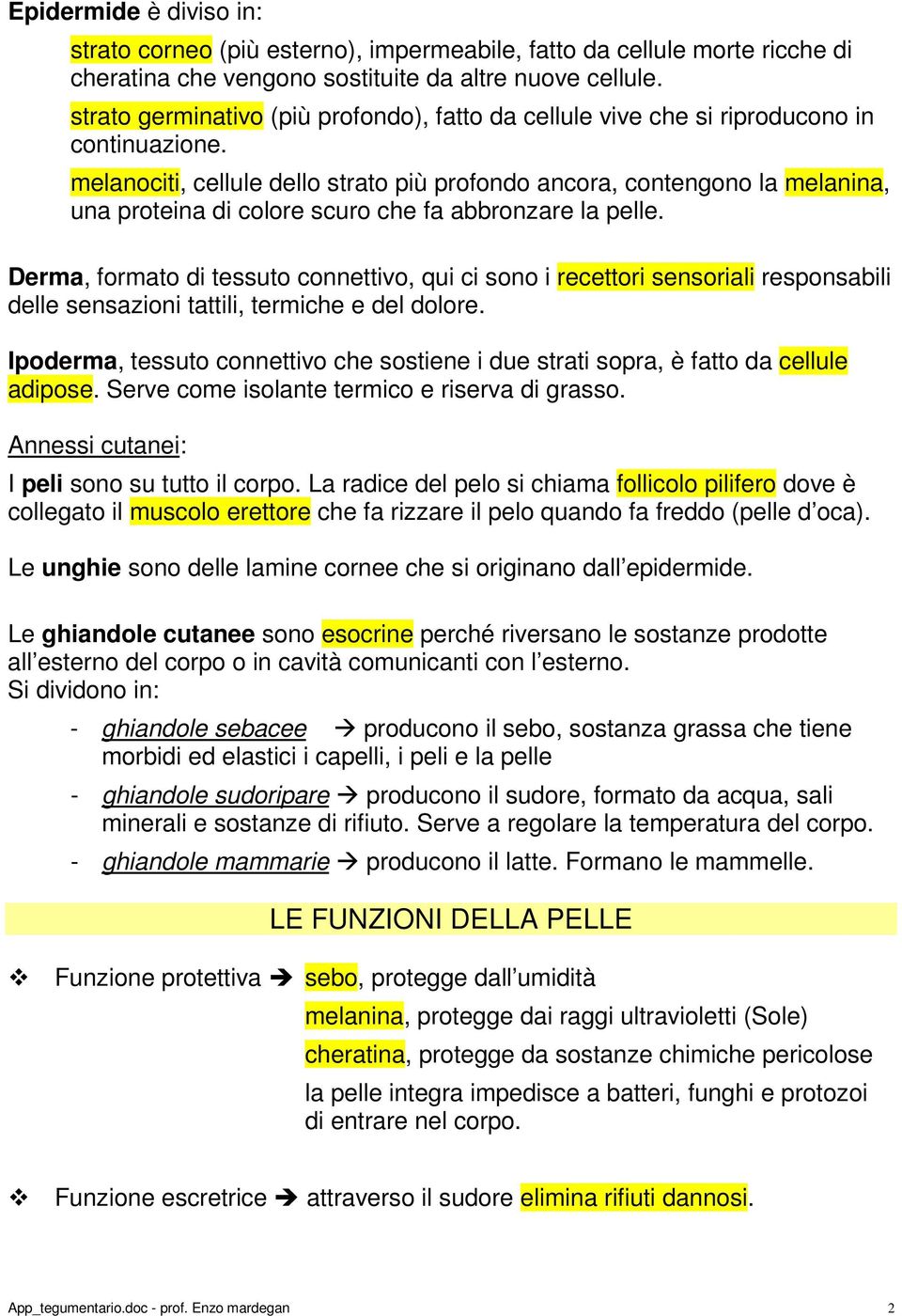 melanociti, cellule dello strato più profondo ancora, contengono la melanina, una proteina di colore scuro che fa abbronzare la pelle.